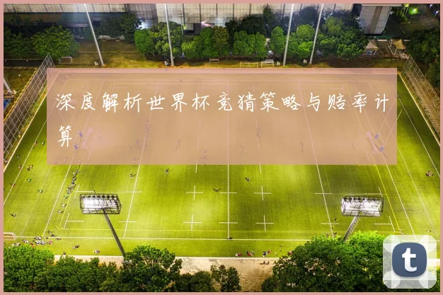 深度解析世界杯竞猜策略与赔率计算